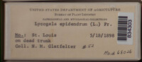 Image Associated With the Occurence